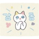 한국플라워아트교육원