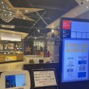 제주도뷔페 스테이크, 사시미 있는 칠성뷔페 후기