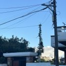 함덕엽집 | 제주 함덕 숙소 / 함덕엽집, 포트럭파티와 강아지 함덕이가 있는 감성 게하