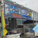 산양민박 | [보령] 오천항 “수산물센터 3호점” 키조개 코스 요리 내돈내산