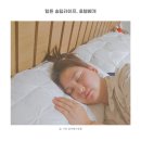 힐튼 송림라이프 호텔베개 호캉스 분위기 완성해주는 인테리어 침구류