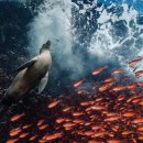 천운농장 이미지