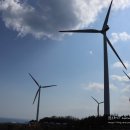 야성숯불가든 이미지