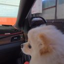 동두천하이웨이주유소 이미지