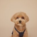 비커밍스튜디오 이미지