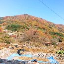 웃냇물펜션 이미지