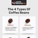 커피 콩은 4종류, 아라비카 이미지