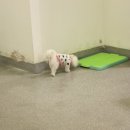 몰리스 놀이터/호텔 이미지