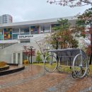 브런치 콘서트 - 리드 악기로 듣는 클래식 여행 이미지