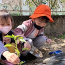 충주남산유 이미지