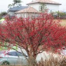 제 1회 전국 약사 가요제 출전기 이미지