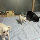 유중식당
