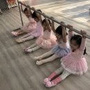 속초발레학원 속초무용학원 드림댄스무용학원