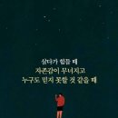 유명갈매기 이미지