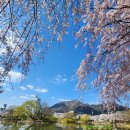 영산 연지못 이미지