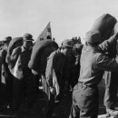 구미가축병원 이미지