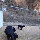 최종수농장 이미지