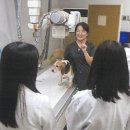 경상국립대학교 동물의료원 이미지