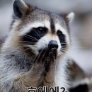 한소