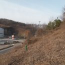 송정2리 | 태행지맥(2구간) : 무안산 구간