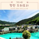 드위트리글램핑 | 정선 드위트리펜션, 카라반, 글램핑 조식까지 강원도 여행 후기