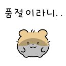 어쏠티드에이