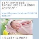 [50일사진] 나무그늘스튜디오 후기(곰돌이컨셉,화이트퓨어컨셉)