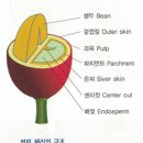 빈,커피 이미지