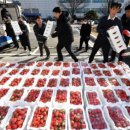 수원-1371 이미지