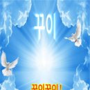 꾸이꾸이 - 시흥시 월곶중앙로 71 | 꾸이꾸이