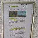 파파스라이어 이미지