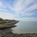 시화호수로4 이미지