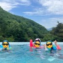 뉴욕버거(제천점) | [제천2일]리솜레스트리 체크아웃/포레스트 리솜 해브나인 스파 안내도,할인방법,식당, 준비물 등 후기