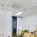 리리아브로우&스칼프 이미지