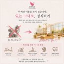 스완필라테스 - 평택시 동삭1로22번길 19-1 | [평택 필라테스] 3년째 재등록하는 이유, 스완필라테스 동삭점 내돈내산 후기