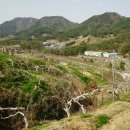 백월산농장 이미지