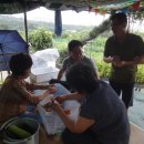 백동농장 이미지