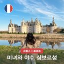 파리 하루 여행 코스 추천 미녀와 야수 프랑스 샹보르성 쉬농소성 투어 후기