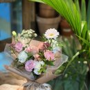 면가일세 이미지