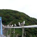 해오름관광펜션