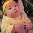​[100일 아기 아쿠아리움] 아쿠아플라넷 일산 방문 후기 : 외출 준비물 &amp; 주의 사항