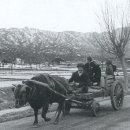 영일당구장 이미지