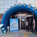 축제코스 | &#39;2025 울산고래축제&#39; 방문 후기 필수코스 추천