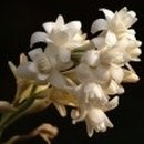 Bodyworks(바디웍스) 이미지