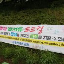 온천천일대3 이미지