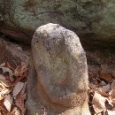 신당리 Daum카페