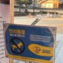 못골한옥어린이도서관 | 서울 아이와 가볼만한 곳, 못골한옥어린이도서관