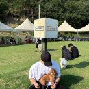 프리멍 | 부산 김해 애견카페 멍프리, 내돈내산 방문후기