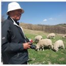 부부목장 이미지