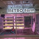 승구농장 이미지